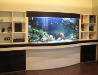 Мебельная стенка с открытыми полками и встроенным панорамным морским аквариумом